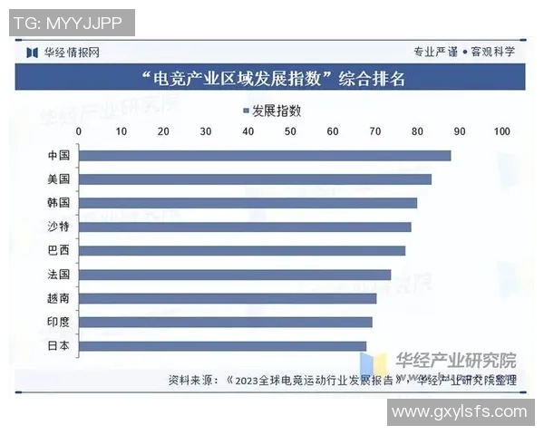 从竞技到产业探析电竞职业联赛的发展路径与未来趋势