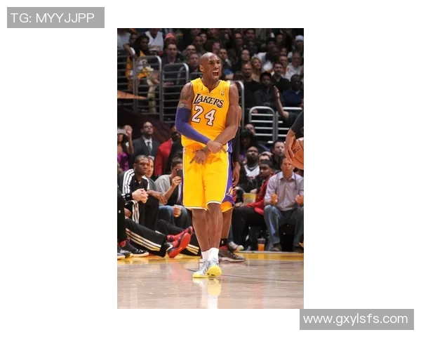 洛杉矶湖人队新赛季前景分析：核心球员变化与战略调整解析