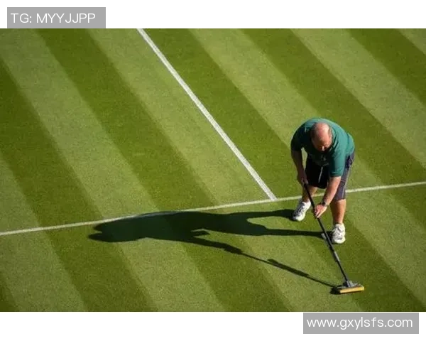 网球运动的发展历程与未来趋势分析：从草地到硬地的技术演变与全球影响
