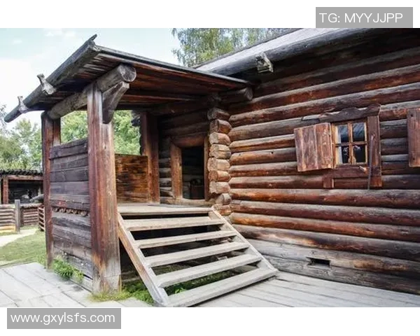 聚焦篮球明星成长之路与赛场风云全景解析与未来发展深度展望