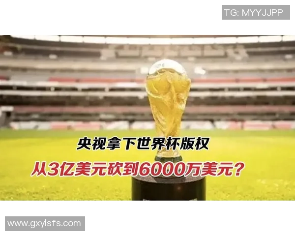 世界杯版权收入接近40亿美元商业帝国不断扩张引发全球关注